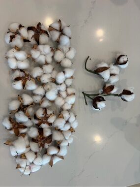 Hobby Lobby Cottonwood 2 Stems and single cottonwoods- White and Brown